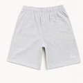 Stussy Shorts “Gray”