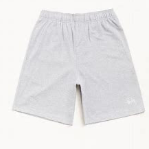 Stussy Shorts “Gray”